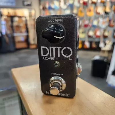 Store Special Product - TC Electronic - DITTO LOOPER