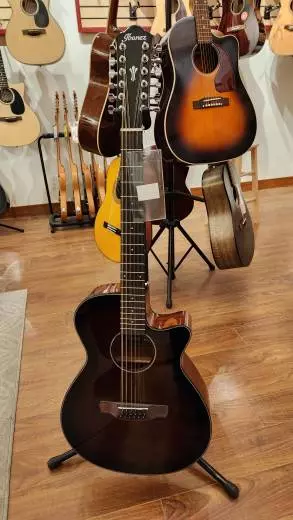 IBANEZ AEG ACOUSTIC DVH