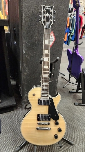 SCHECTER SOLO-II CUSTOM