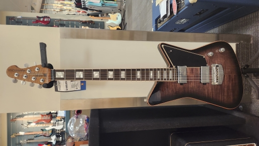 Ernie Ball Music Man - MARIPOSA TRANS BLACK