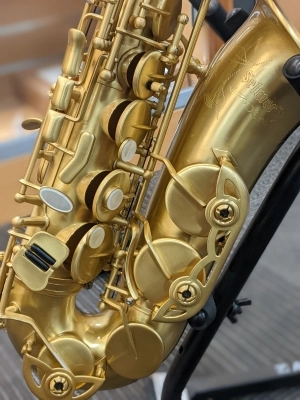 Selmer pro Alto sax