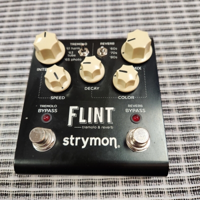 Strymon - FLINT V1