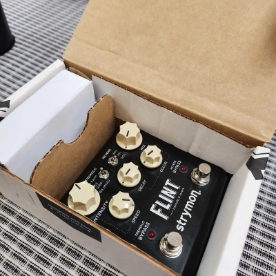 Strymon - FLINT V1 3