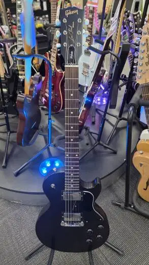 LP SPECIAL TRIBUTE HB