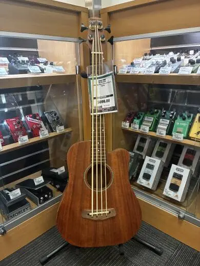Gold Tone - MICRO BASS