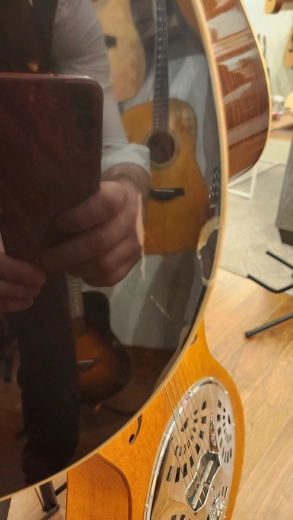 TAYLOR 2009 LTD GRAND AUDIT COCOBOLO 2