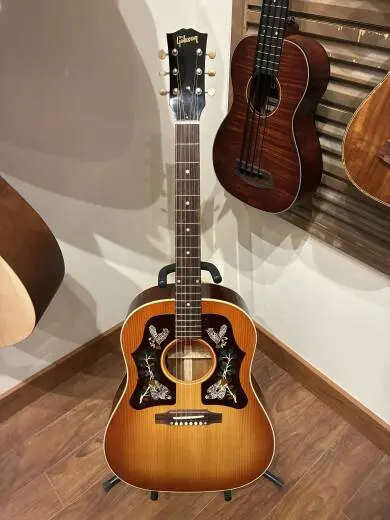 Gibson - ACMP45HCNH
