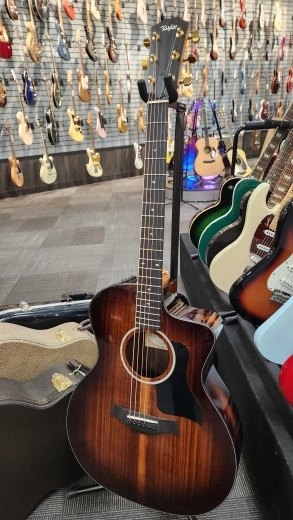 Taylor Guitars - 224CE-K DLX