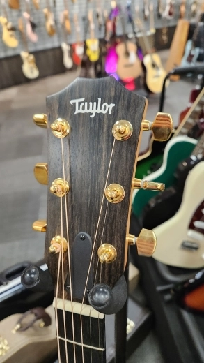 Taylor Guitars - 224CE-K DLX 2