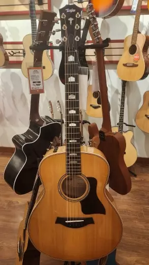 Taylor Guitars - GT 611E LTD