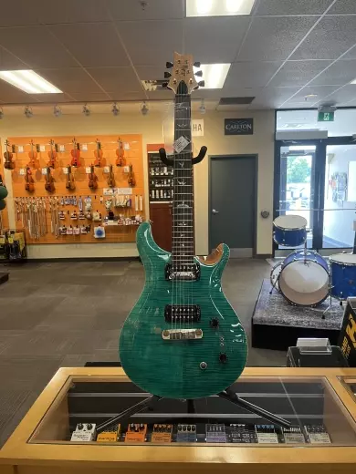 PRS Guitars - 103495::TU: