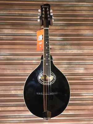 Eastman Guitars - MD404-BK
