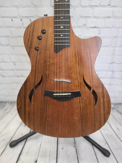 Taylor Guitars 2