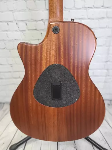 Taylor Guitars 2