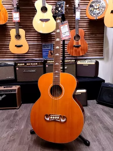 Epiphone - EIABSJANANH