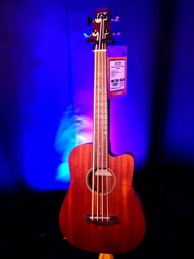 Gold Tone - MICRO BASS 2