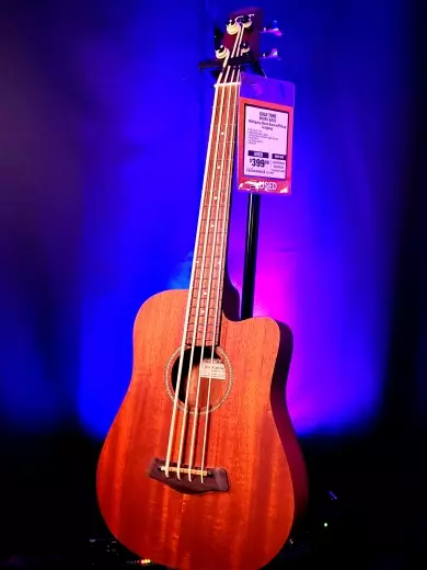 Gold Tone - MICRO BASS