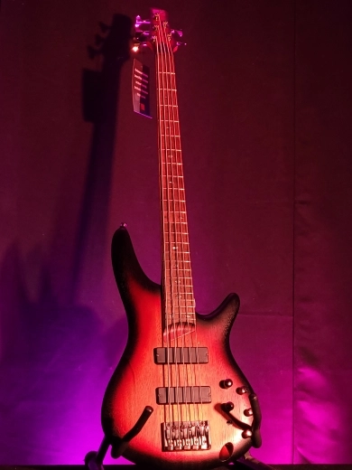 Ibanez - SR505 TFF