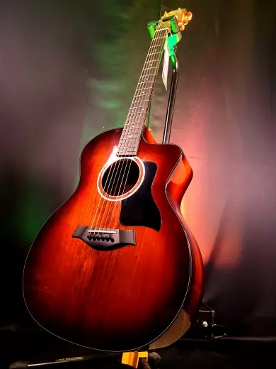 Taylor Guitars - 224CE-K DLX V1 2