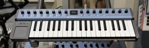 Modal Electronics - COBALT5S