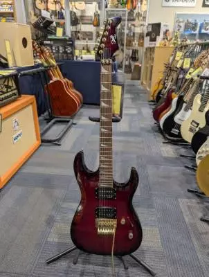 Dot On Shaft guitar w/ Floyd Rose