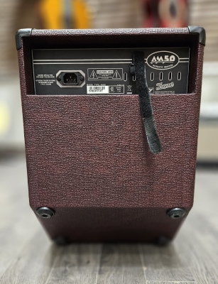 Traynor - AM50T Acoustic Amp 2