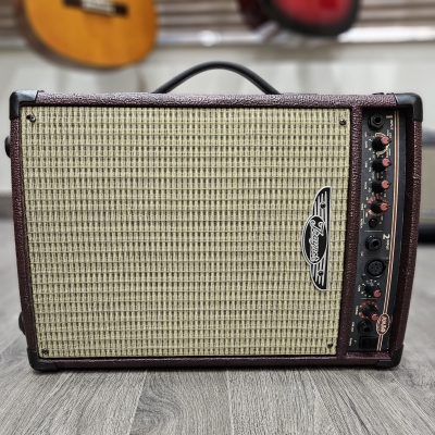 Traynor - AM50T Acoustic Amp 3
