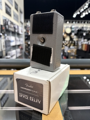 Fender Hammertone Reverb | Long & McQuade