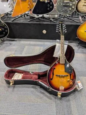 Alabama Electric Mandolin 2