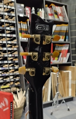 Ibanez - EP5 Steve Vai Acoustic/Electric 2