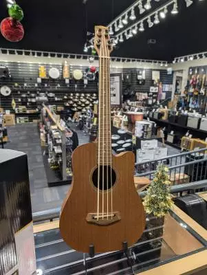 Gold Tone - MICRO BASS