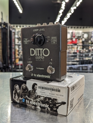 Gear Hunter | T.C. DITTO X2 LOOPER PEDAL