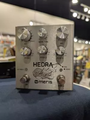 MERIS HEDRA