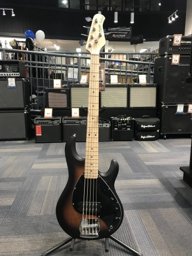 Sterling by Music Man - RAY5-VSBS-M1