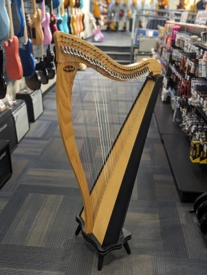 DUSTY STRINGS RAVENNA 34 STRING W/STAND