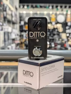 Store Special Product - TC Electronic - DITTO LOOPER
