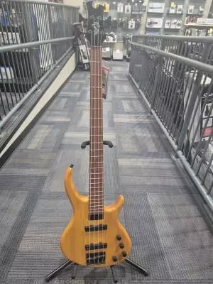 Epiphone - TBD4TABH