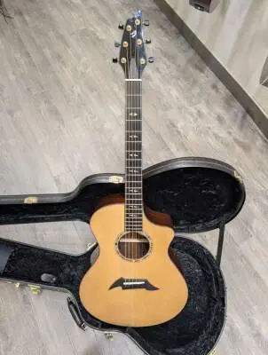 BREEDLOVE C25 CUSTOM PERFORMANCE SERIES