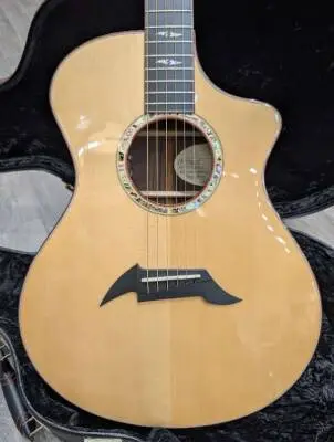 BREEDLOVE C25 CUSTOM PERFORMANCE SERIES 2