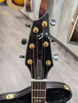 BREEDLOVE C25 CUSTOM PERFORMANCE SERIES 2