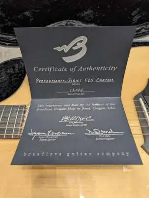 BREEDLOVE C25 CUSTOM PERFORMANCE SERIES 2