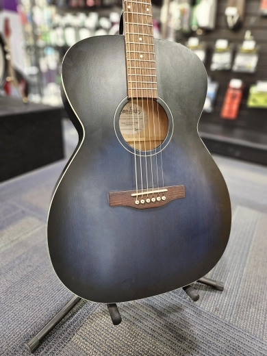 Simon and Patrick - Songsmith Concert 2