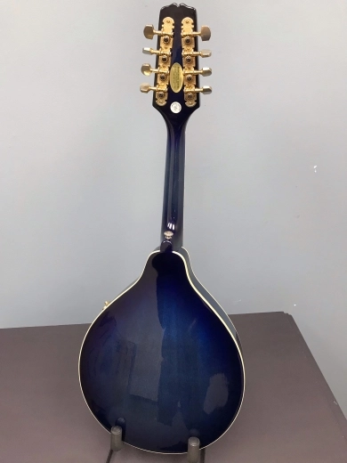 EPIPHONE MANDOLIN W/ HARDSHELL CASE 2