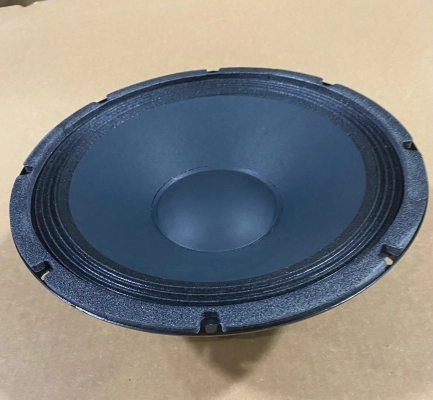 Eminence 12 Inch Raw Woofer - 350 Watts