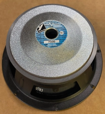 Celestion 8 Inch 100 Watt Raw Speaker