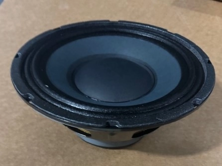 Eminence 10 Inch 16 Ohm Raw Woofer