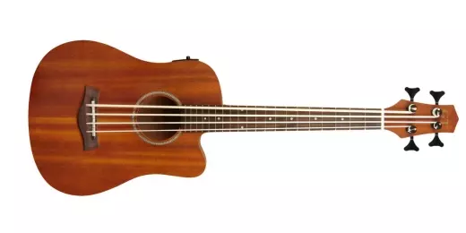 Gold Tone - MICRO BASS