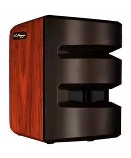 LR Baggs Synapse Personal PA System