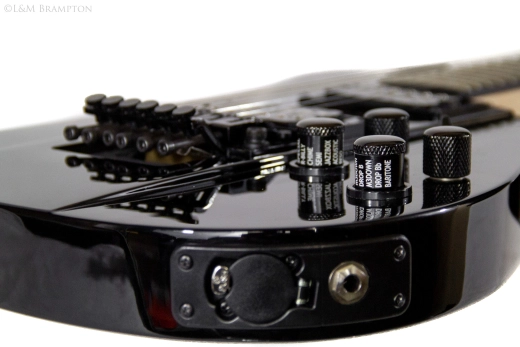Line 6 - James Taylor Variax Modelling Guitar 2