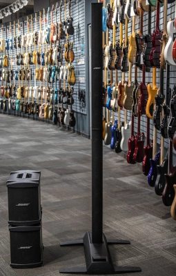 BOSE L1 MODEL 2 DOUBLE BASS PACKAGE 2
